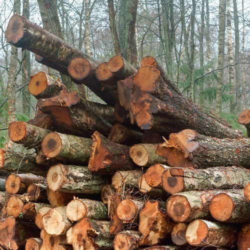 Vendita legna da ardere a Biella